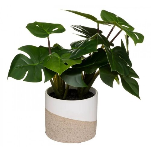 Atmosphera umjetna biljka u saksiji H28CM Slike