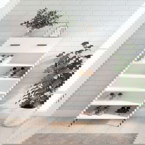 Ormarić za cipele bijeli 60 x 35 x 105 cm od konstruiranog drva Cene