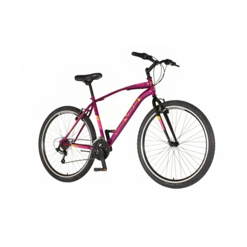 Venssini bicikl arcadia 27" bordo roze Cene