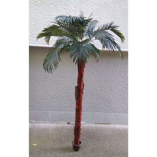 Lilium stablo palme 2,1m A10465 Slike
