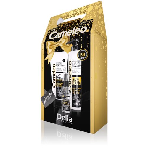 Delia CAMLEO Poklon set ANTI DAMAGE &amp;scaron;ampon + regenerator + ulje za kosu Slike