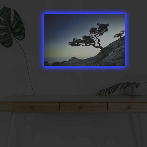 Wallity Zidna slika sa LED osvetljenjem 4570DHDACT-156, 45x70 cm Cijene