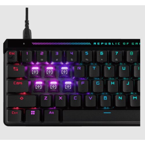 Asus ROG Falchion ACE HFX 65%gaming tastatura Cijene