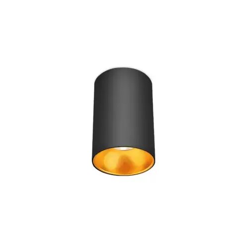 Braytron SPOT SVJETILJKA PLAFONSKA BETA-8010 OKRUGLA CRNA GU10 BH04-30101 Cijene