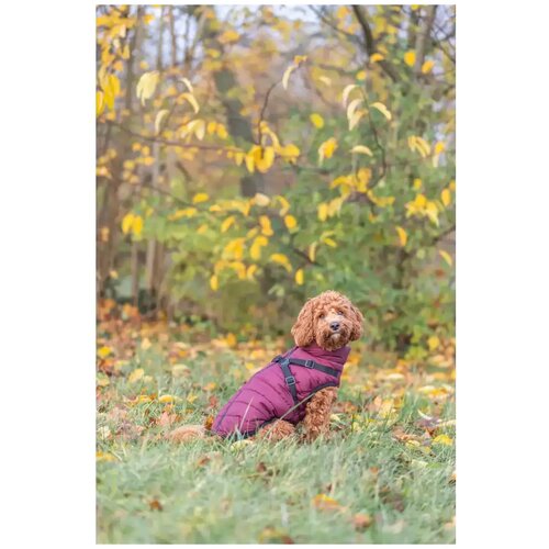 Trixie zimski kaput za pse Pirou 40 cm Slike