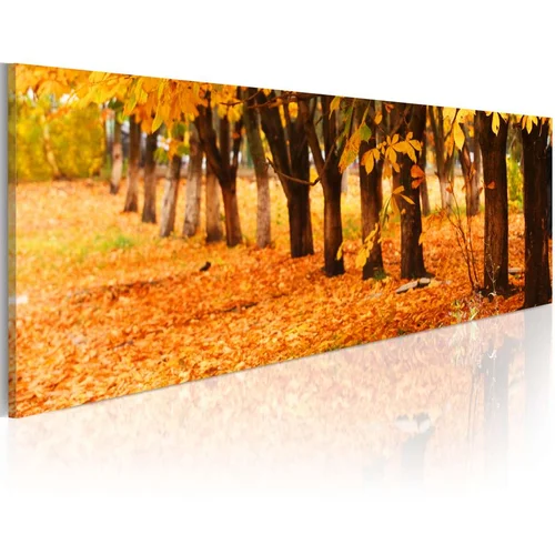  Slika - Park covered with golden leaves 135x45