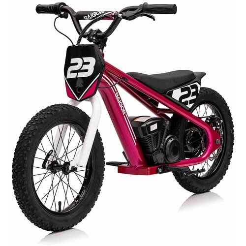  Motor na akumulator BAIGOR 23 PRO - rozi Cijene