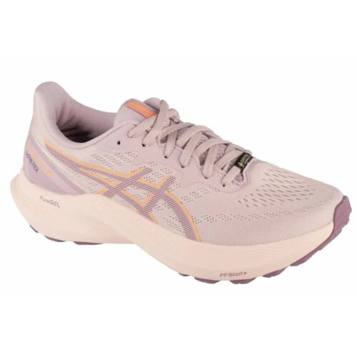 Asics gt-2000 12 gtx 1012b507-700 Cijene