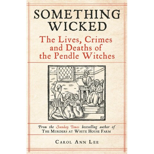 Macmillan Distribution Carol Ann Lee - Something Wicked Slike