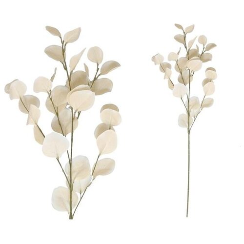  EUKALIPTUS 2004 PVC Slike