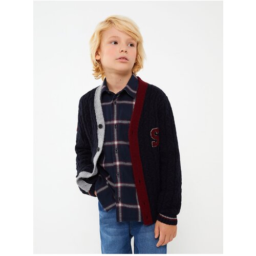 LC Waikiki Boy&amp;#039;s V-Neck Embroidered Long Sleeve Knitwear Cardigan Slike