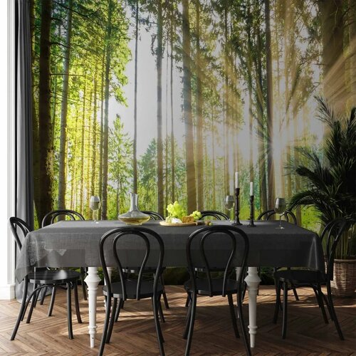  Foto tapeta - Forest Tales 100x70 Premium Slike