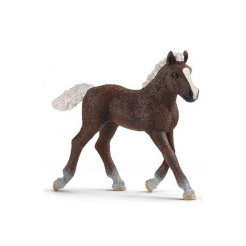 Olimp Sport Zdrebe black forest Cene