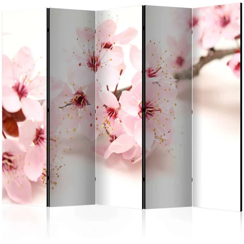  Paravan u 5 dijelova - Cherry Blossom II [Room Dividers] 225x172