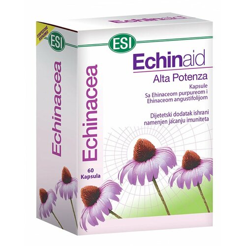  echinaid kapsule 60 X 605 mg 60 kapsula Cene