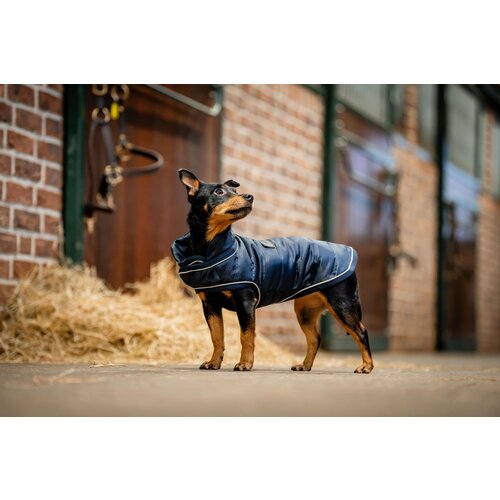 Horseware Ireland Pasji plašč Signature, Navy - XL Cene