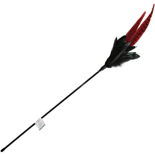 zooplus Mačja palica Mystic Long Feather - 1 kos Cene