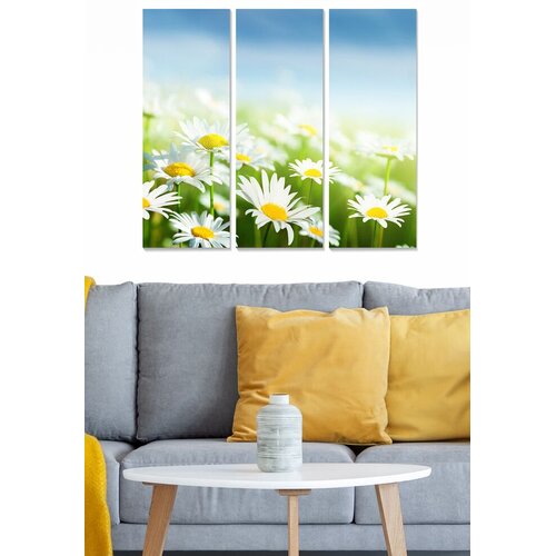 Wallity Set slika MDF95090155, 3 dijela Cene