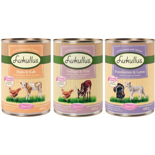Lukullus Junior me&scaron;ano poskusno pakiranje - Miks 2: 6 x 400 g Cijene