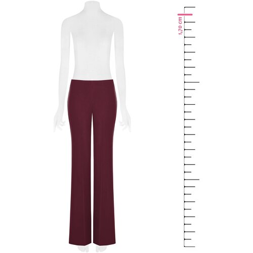 Rinascimento Hlače CFC0130197003 Bordo Slike