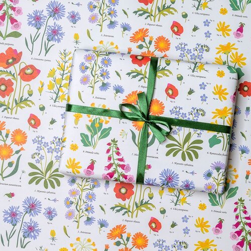 Rex London Ukrasni papir u setu 5 kom Wild Flowers &amp;ndash; Slike