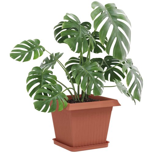  Saksije za biljke 6 pcs Crvena cigla 33 x 33 x 26 cm Plastika Slike