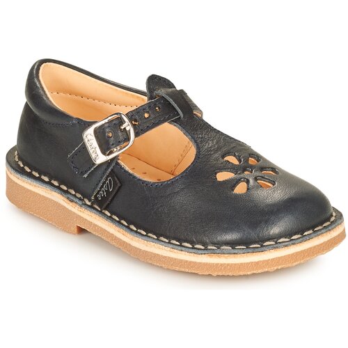 Aster DINGO Blue Cijene