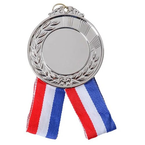 Junior reward, medalja, 6,5cm, odaberite nijansu Srebrna Cene