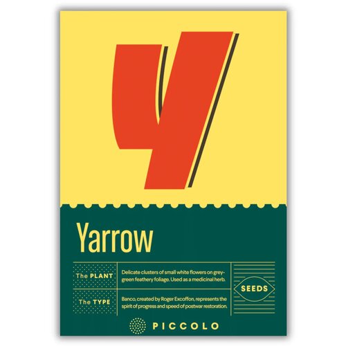  Y - Yarrow - rman - 1 pkt. Cene