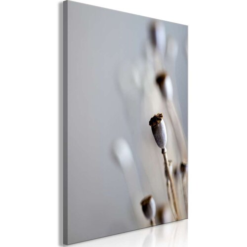  Slika - Dried Poppies (1 Part) Vertical 40x60 Cene