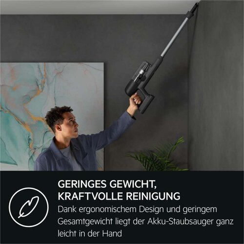  Usisavač Metla AEG AP71UB14GG 130 W Cijene