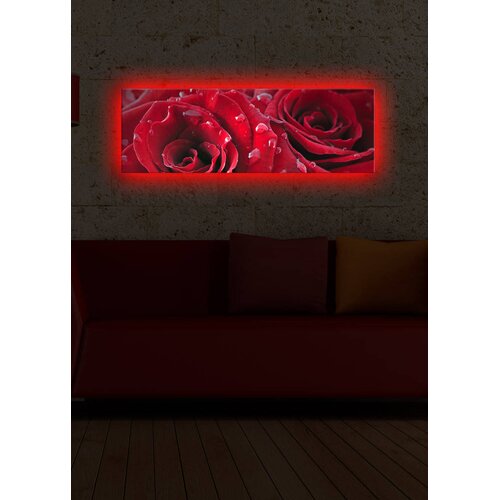 Opviq Slika na platnu sa LED osvetljenjem 30x90cm Cijene