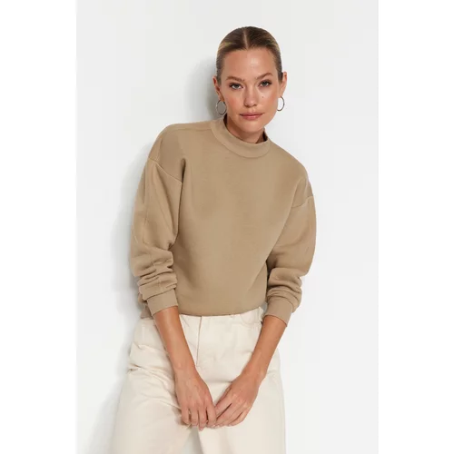 Trendyol Mink Thick, Fleece Inside, Standing Collar Relaxed/Comfortable, Knitted Sweatshirt