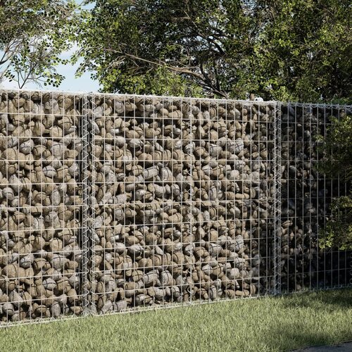 vidaXL Gabionska košara s poklopcem 100x50x100 cm pocinčano željezo Cijene