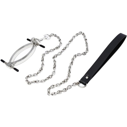 Kiotos Pussy Clamp with Leash Chain Cene