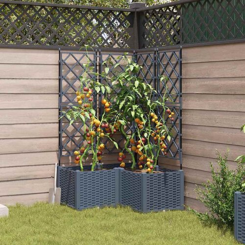  Vrtna saksija 3 pcs Svijetlo siva 80 x 80 x 143 cm Plastika Slike