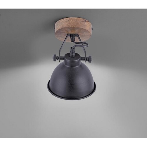 LEUCHTEN DIREKT 11981-18 - Reflektor SAMIA 1xE14/40W/230V crna Slike