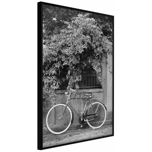  Poster - Bicycle with White Tires 40x60