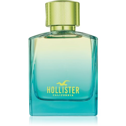 Hollister Wave 2 toaletna voda za moške 50 ml Cene