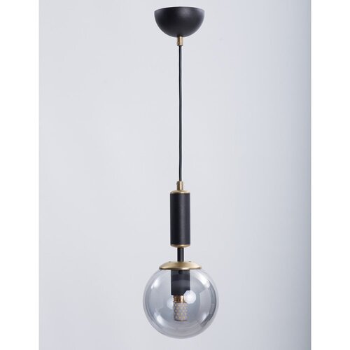 Squid Lighting črna/siva viseča svetilka s steklenim senčnikom ø 15 cm hector – Cene