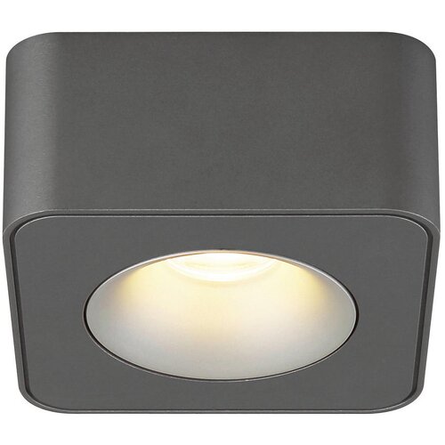 Globo 43100-1 - LED plafonsko svetlo HANGARAU LED/6,5W/230V 11,7x11,7 cm Slike