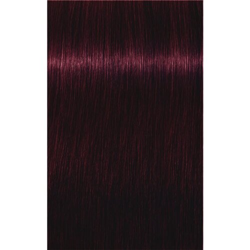 Schwarzkopf IGORA Royal boja za kosu nijansa 4-99 Medium Brown Violet Extra 60 ml Cijene