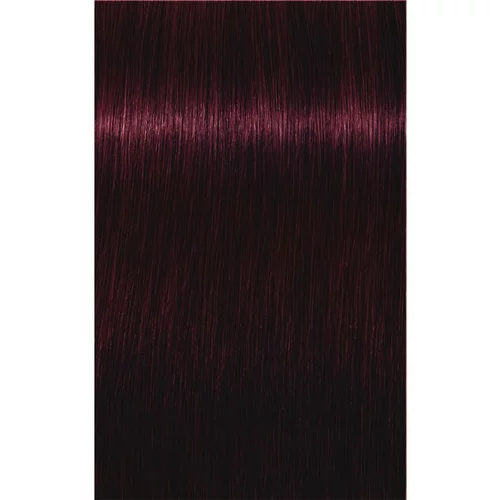 Schwarzkopf IGORA Royal boja za kosu nijansa 4-99 Medium Brown Violet Extra 60 ml