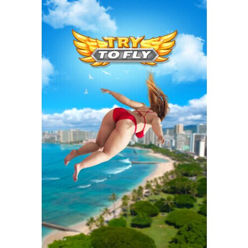  try to fly steam key (pc) global Cene