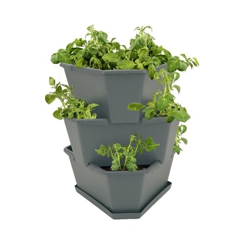 Gusta Garden Paul Potato Starter - 3 nadstropja Cene