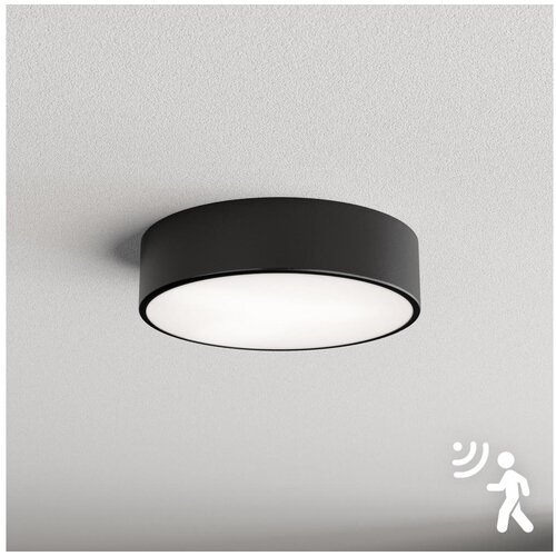 Brilagi plafonsko svetlo sa senzorom clare 2xE27/24W/230V prečnik 30 cm crna Cene
