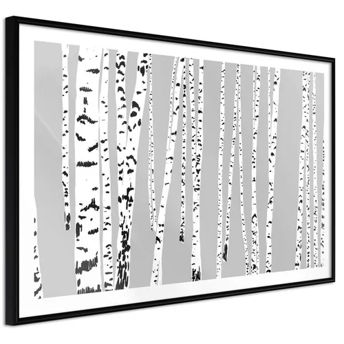  Poster - Birch Wood 90x60