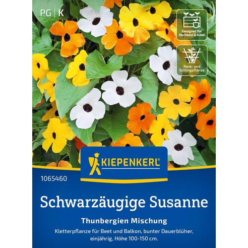KIEPENKERL Črnooka suzana "mešanica" - 1 pkt. Cene