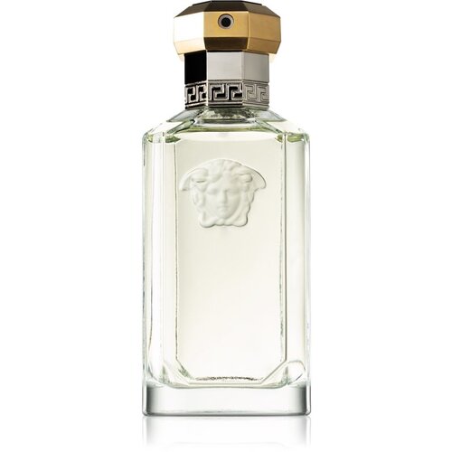 Versace Dreamer toaletna voda 100 ml za moške Cene