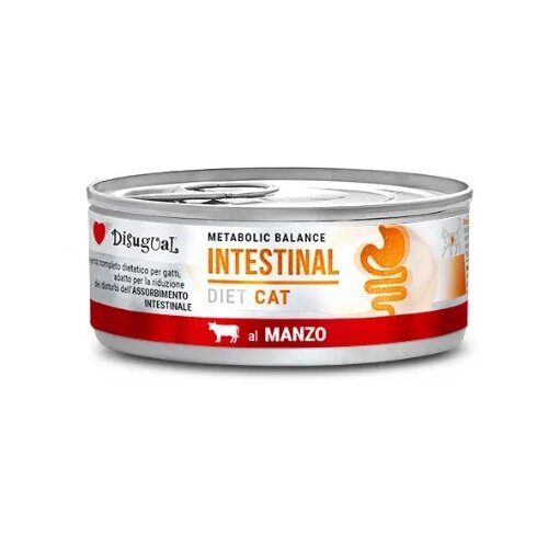 Disugual Disigual veterinarska dijeta za mačke konzerva Intestinal - Beef 85g Cene